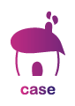 case