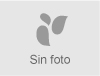 neumaticos usados